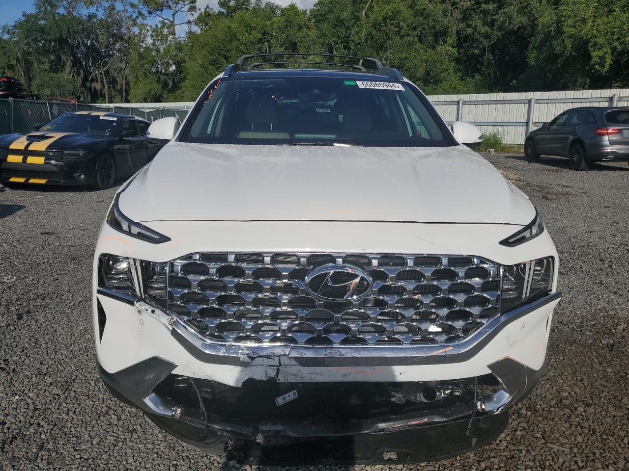 2023 HYUNDAI SANTA FE LIMITED VIN:5NMS44AL5PH626392