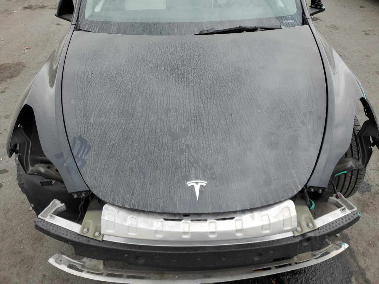 2022 TESLA MODEL Y  VIN:7SAYGDEF3NF576003
