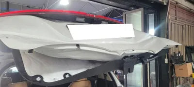 2020 Kia Carnival KNHNC37BBMS010920 VIN:KNHNC37BBMS010920