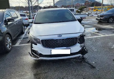 2018 Kia Carnival KNAMC81ABJS424983 VIN:KNAMC81ABJS424983