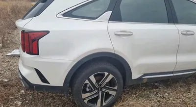 2021 Kia Sorento KNARH81GBMA021079 VIN:KNARH81GBMA021079