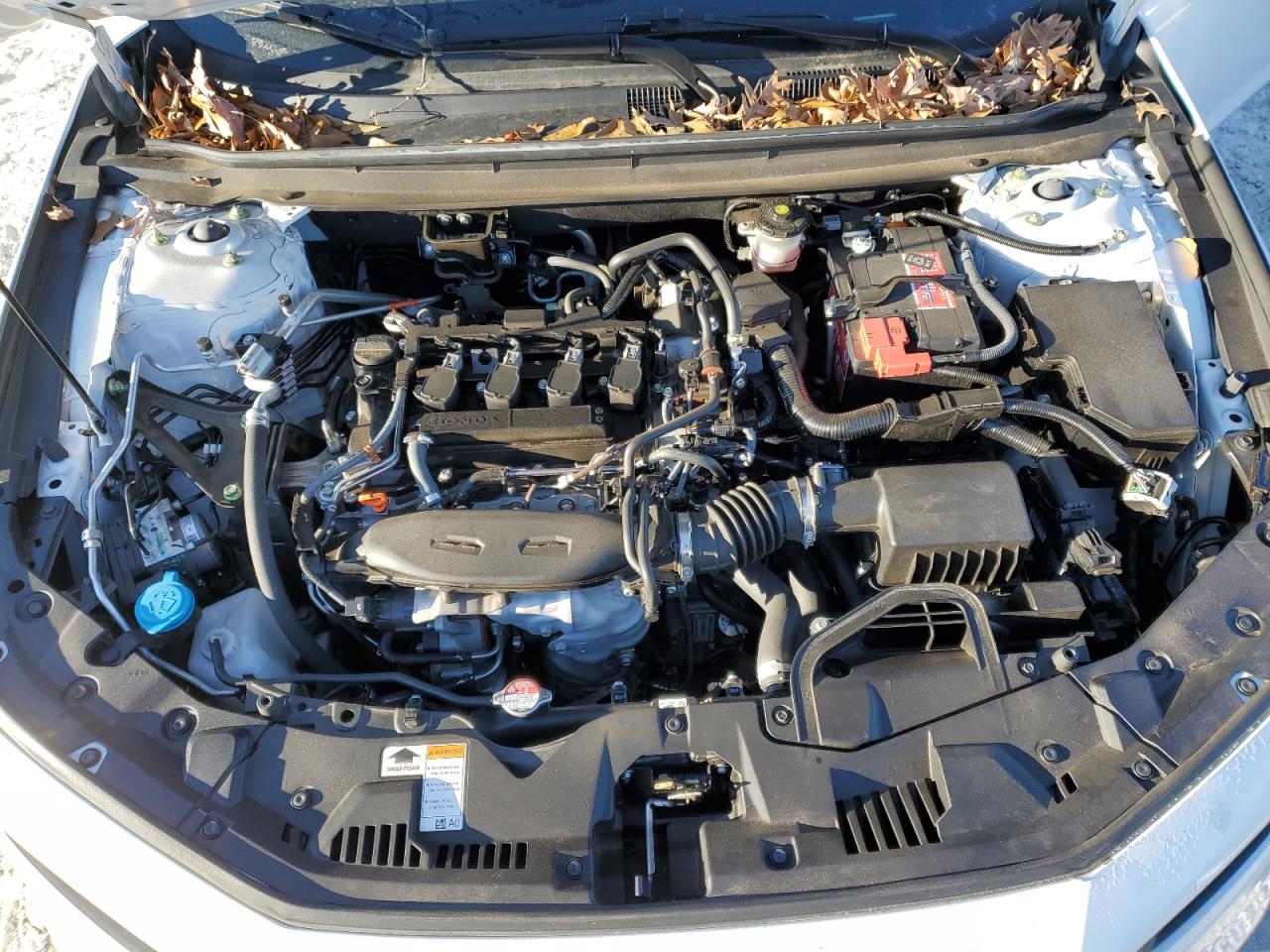 2023 HONDA ACCORD LX VIN:1HGCY1F25PA018102