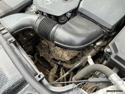 2020 Mercedes-Benz GLE 300 W1NFB1KB2LA162714 VIN:W1NFB1KB2LA162714