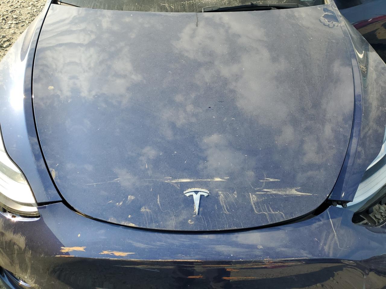 2023 TESLA MODEL Y  VIN:7SAYGDEE3PA091920