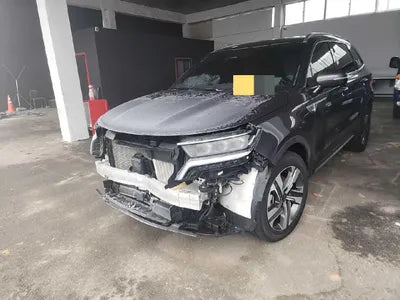 2021 Kia Sorento KNARL81GBMA050631 VIN:KNARL81GBMA050631