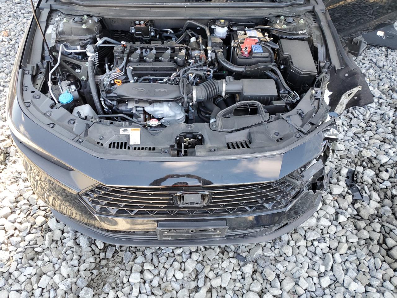 2023 HONDA ACCORD LX VIN:1HGCY1F20PA037706