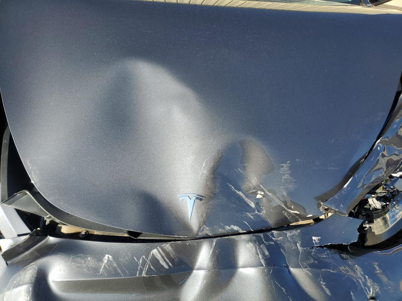 2023 TESLA MODEL Y  VIN:7SAYGDEE9PF667366