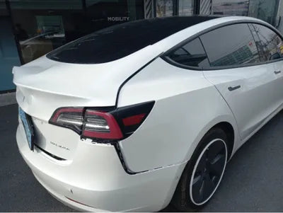 2021 Tesla Model 3 5YJ3E1EB4MF891562 VIN:5YJ3E1EB4MF891562