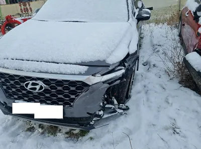 2020 Hyundai Santa FE KMHS381BBLU301410 VIN:KMHS381BBLU301410