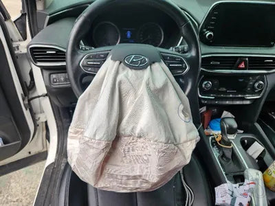 2019 Hyundai Santa FE KMHS381ADKU168779 VIN:KMHS381ADKU168779