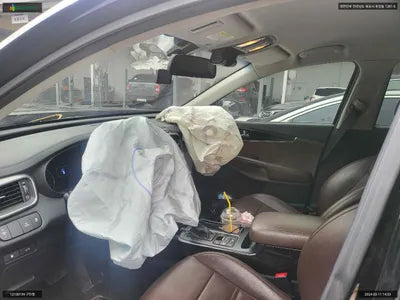 2016 Kia Sorento KNAPH81ADGA223691 VIN:KNAPH81ADGA223691