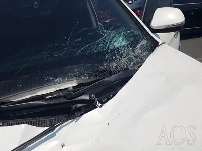 2016 Hyundai Santa FE KMHSW81UBGU635539 VIN:KMHSW81UBGU635539