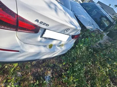 2020 Mercedes-Benz A 220 W1K3G4EB5LJ194314 VIN:W1K3G4EB5LJ194314