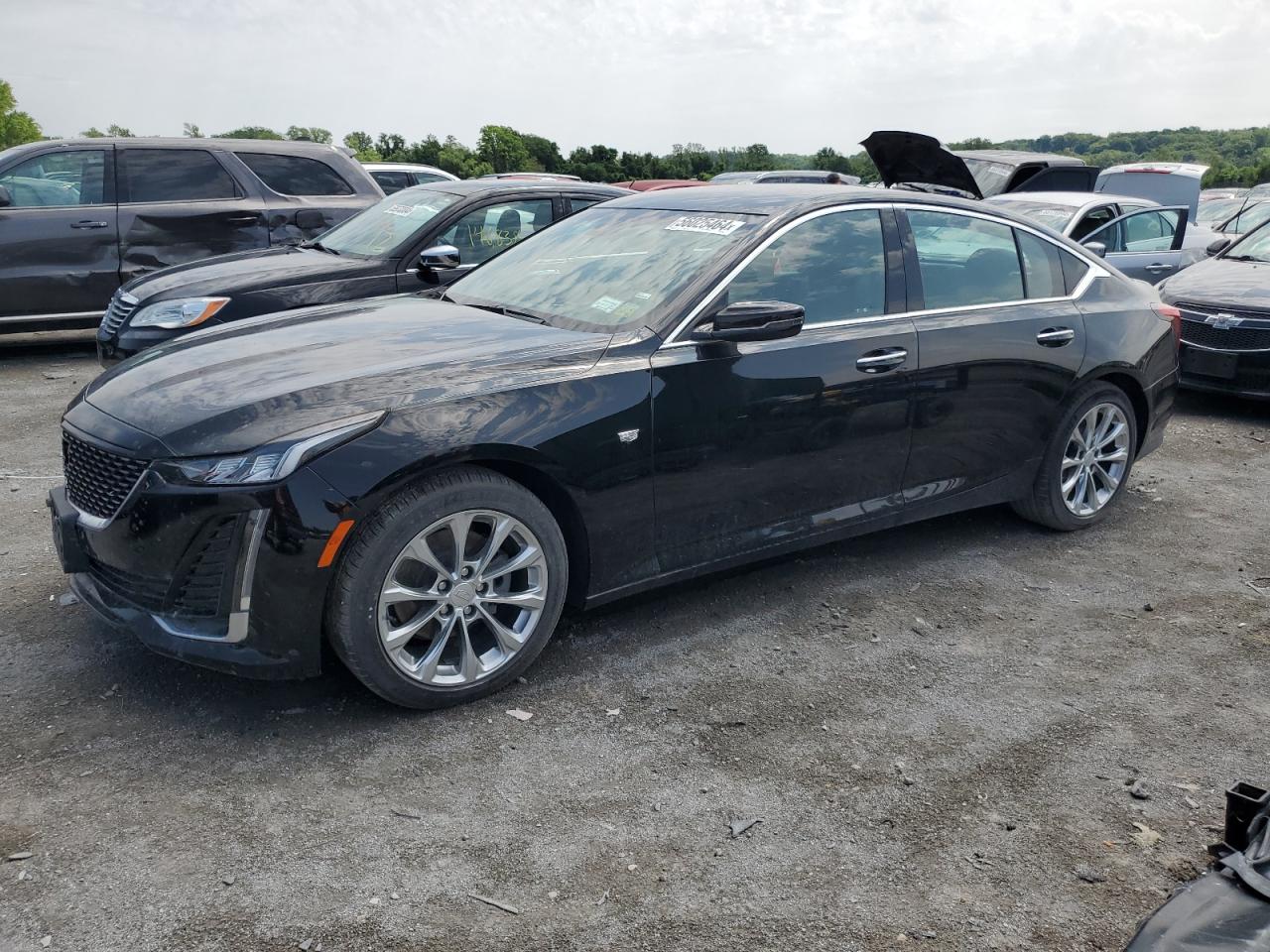 2022 CADILLAC CT5 PREMIUM LUXURY VIN:1G6DN5RKXN0121584