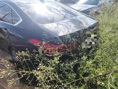 2017 Genesis G80 VIN: