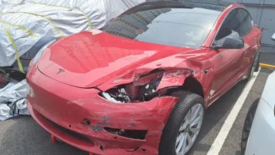 2020 Tesla Model 3 5YJ3E1EB6LF695539 VIN:5YJ3E1EB6LF695539