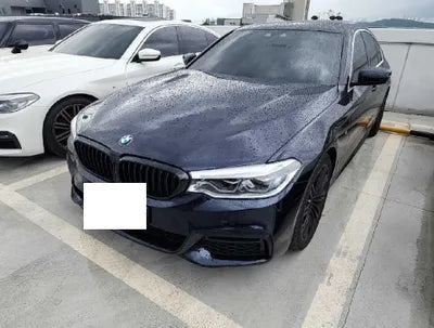 2019 BMW 520 WBAJF510XKWW42477 VIN:WBAJF510XKWW42477