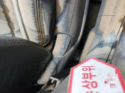 2019 Hyundai Santa FE KMHS281BDKU173749 VIN:KMHS281BDKU173749