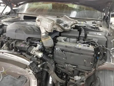 2019 Hyundai Santa FE KMHS381BBLU262254 VIN:KMHS381BBLU262254