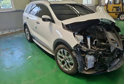2020 Kia Sorento KNAPK81BDLA604954 VIN:KNAPK81BDLA604954