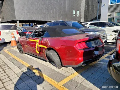2019 Ford Mustang 1FATP8UH3K5196891 VIN:1FATP8UH3K5196891