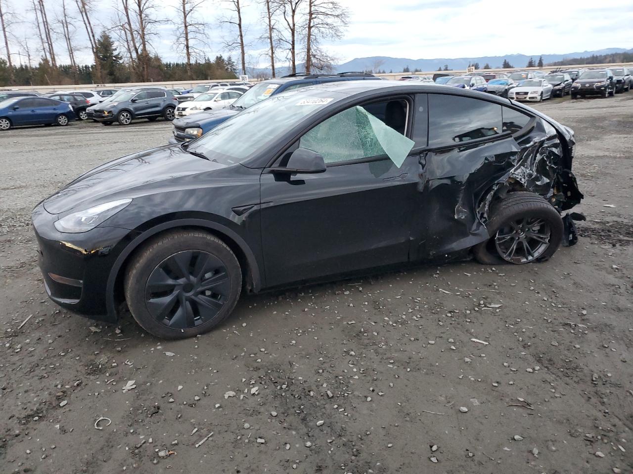 2024 TESLA MODEL Y  VIN:7SAYGAEE8RF116542