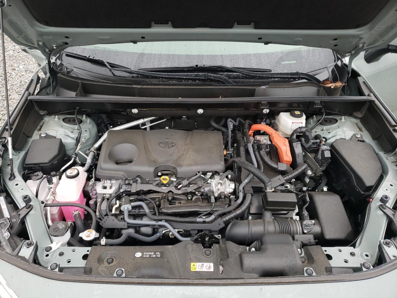 2022 TOYOTA RAV4 XLE VIN:JTMRWRFV0ND141146