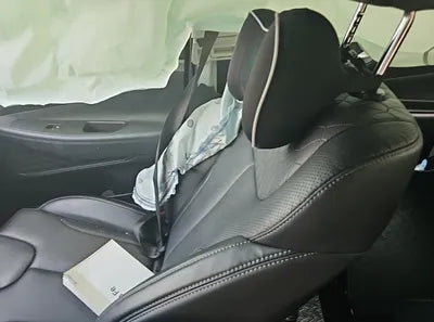 2020 Hyundai Santa FE KMHS281BBLU252014 VIN:KMHS281BBLU252014