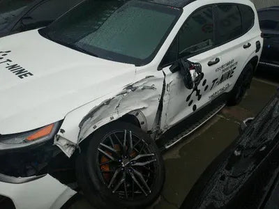 2019 Hyundai Santa FE KMHS381CDKU003486 VIN:KMHS381CDKU003486