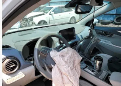 2019 Hyundai Kona KMHK381GFKU036894 VIN:KMHK381GFKU036894