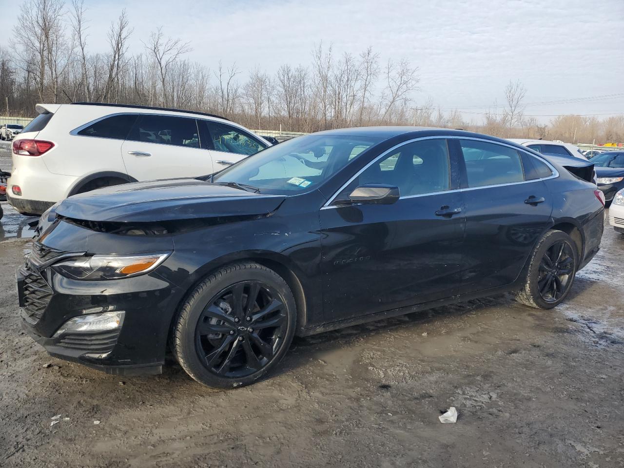 2024 CHEVROLET MALIBU LT VIN:1G1ZD5ST5RF223072