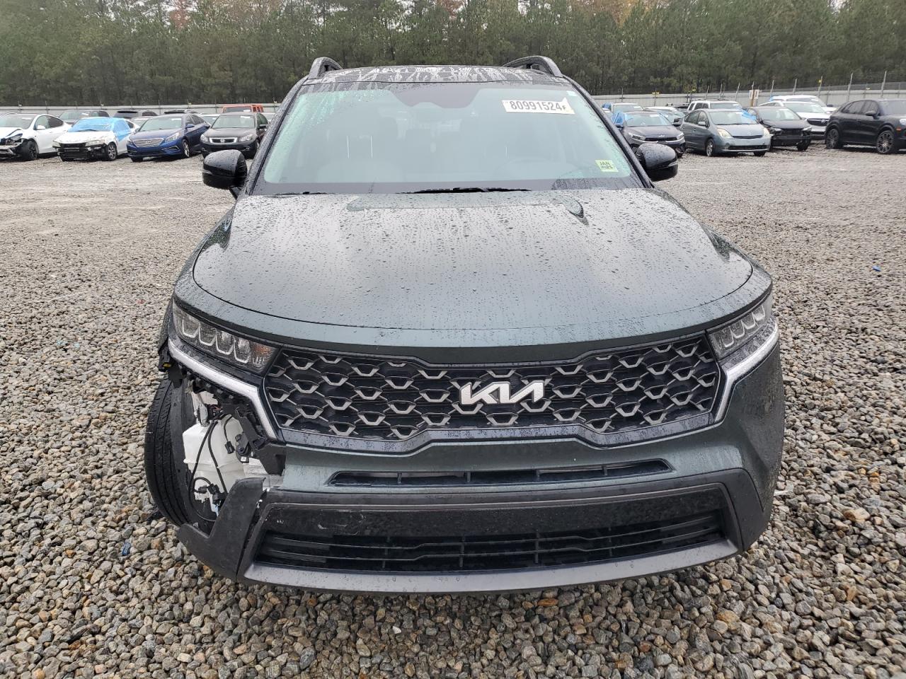 2023 KIA SORENTO S VIN:5XYRLDLC5PG183105