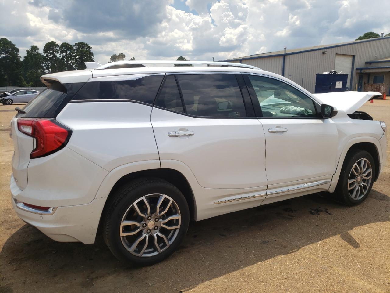 2023 GMC TERRAIN DENALI VIN:3GKALXEG6PL219914
