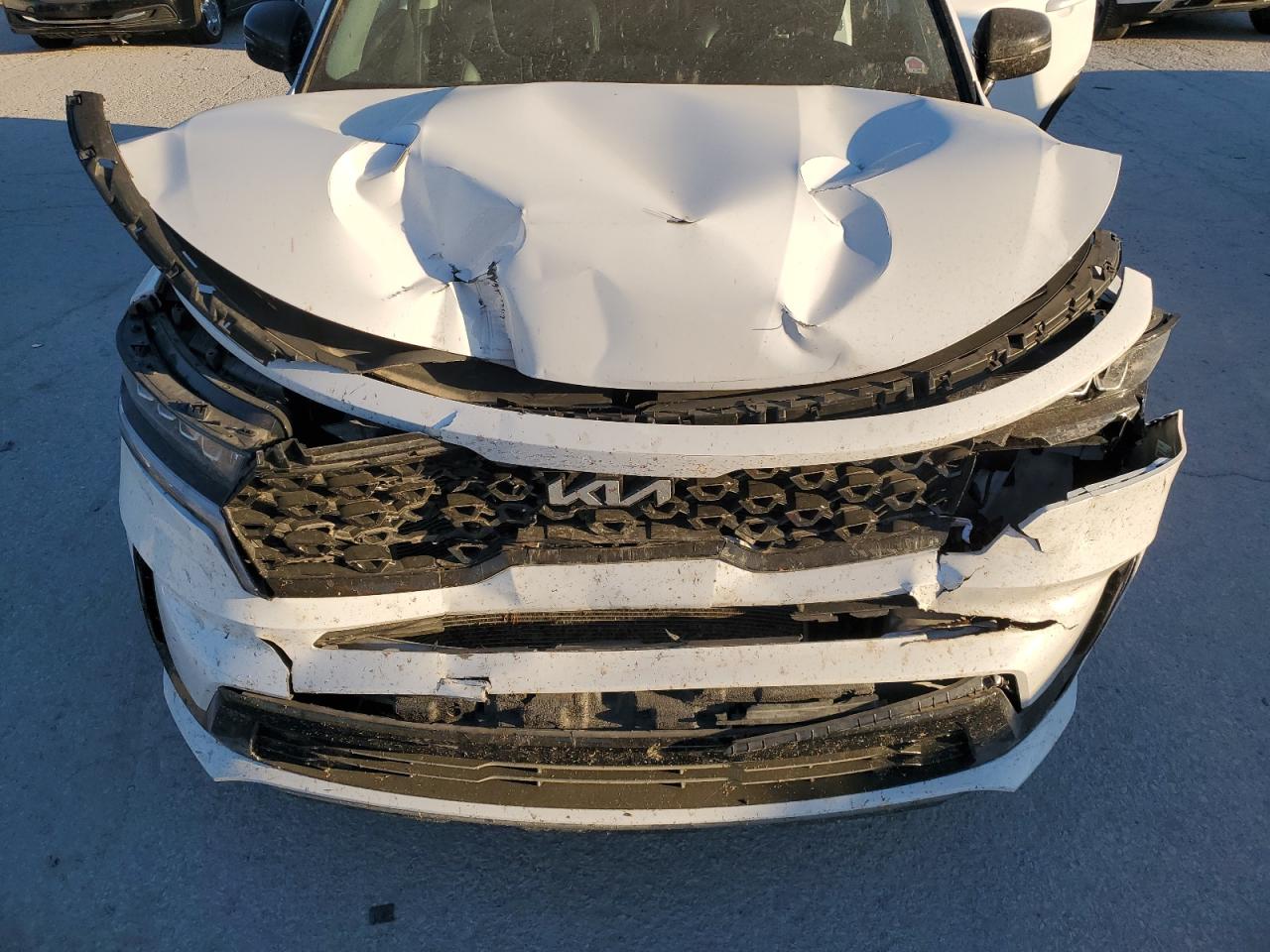 2023 KIA SORENTO S VIN:5XYRL4LC9PG203212