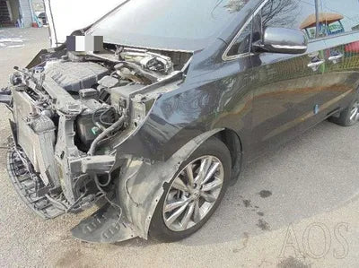 2018 Kia Carnival KNAME81ABKS505286 VIN:KNAME81ABKS505286