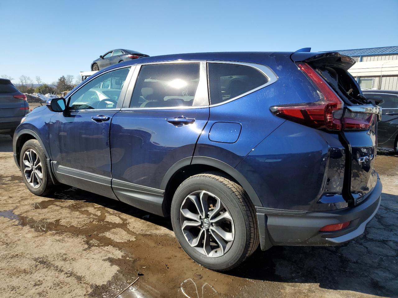 2022 HONDA CR-V EXL VIN:1GKER33D69J164795