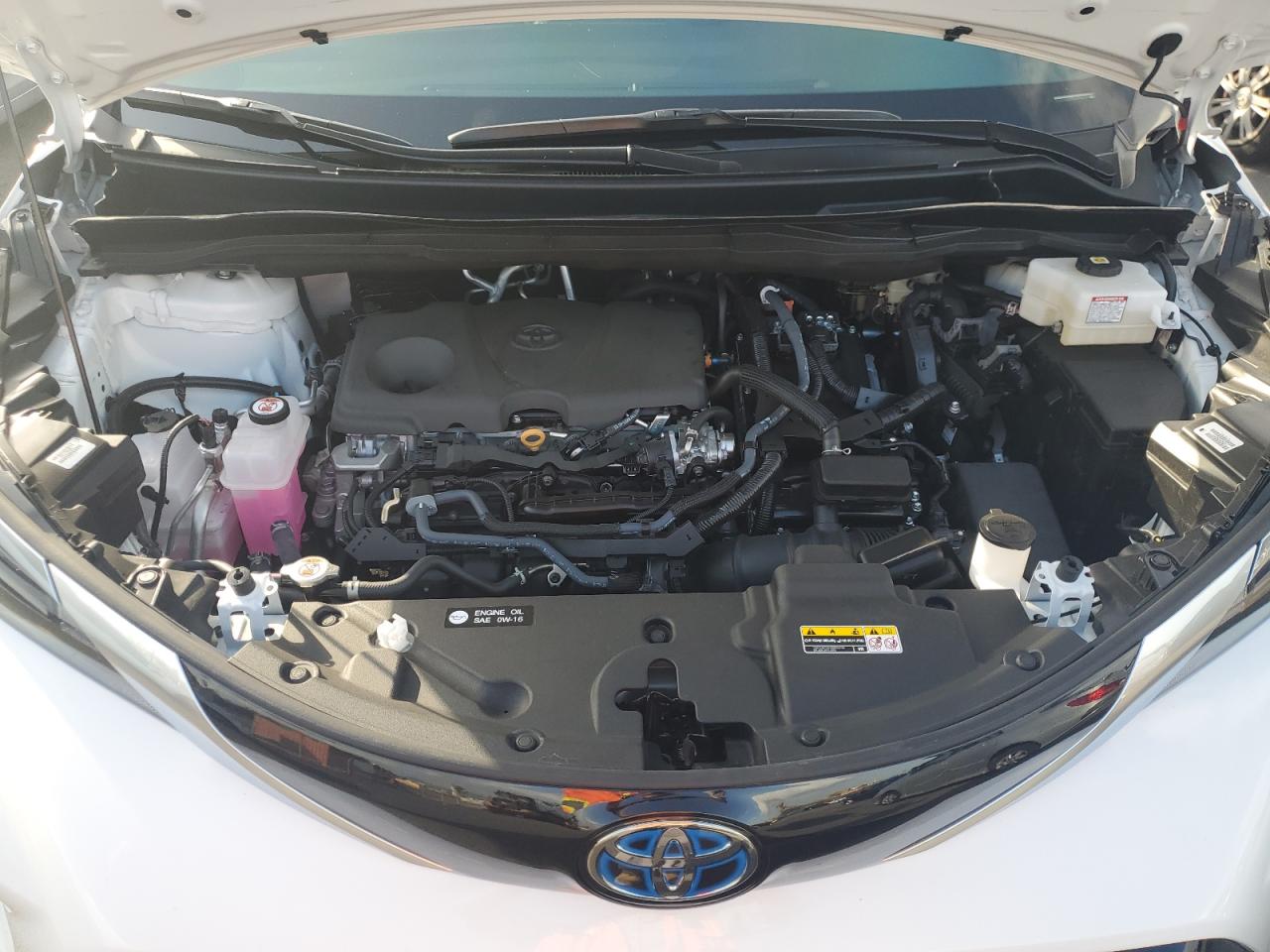 2024 TOYOTA SIENNA XSE VIN:5TDXRKEC1RS218431