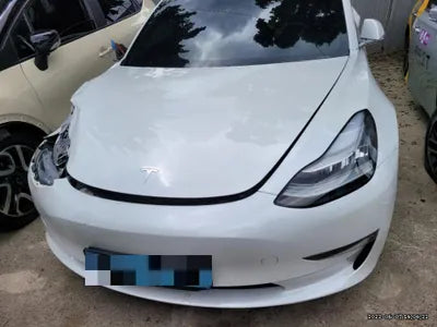 2020 Tesla Model 3 5YJ3E1EAXLF756513 VIN:5YJ3E1EAXLF756513