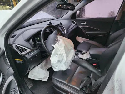 2018 Hyundai Santa FE KMHSW81UBJU796215 VIN:KMHSW81UBJU796215