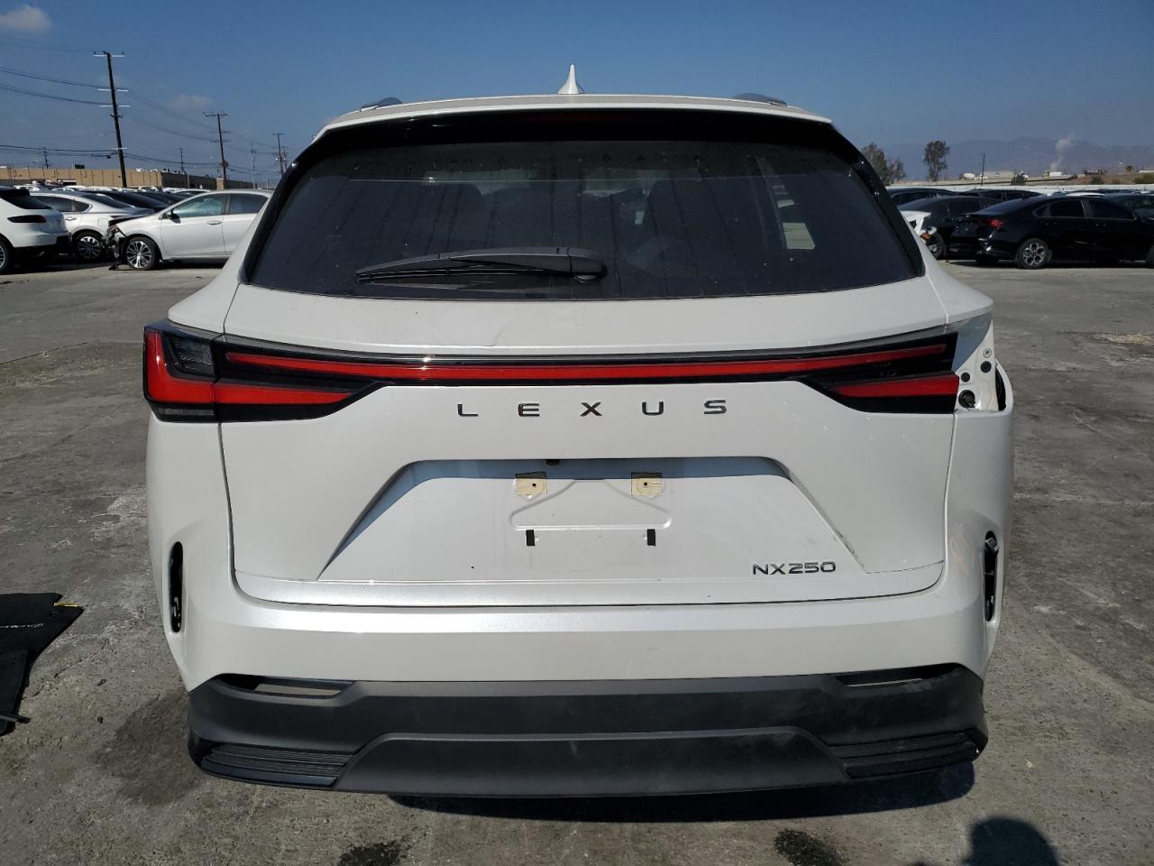 2024 LEXUS NX 250 BASE VIN:JTJADCAZXR5016226