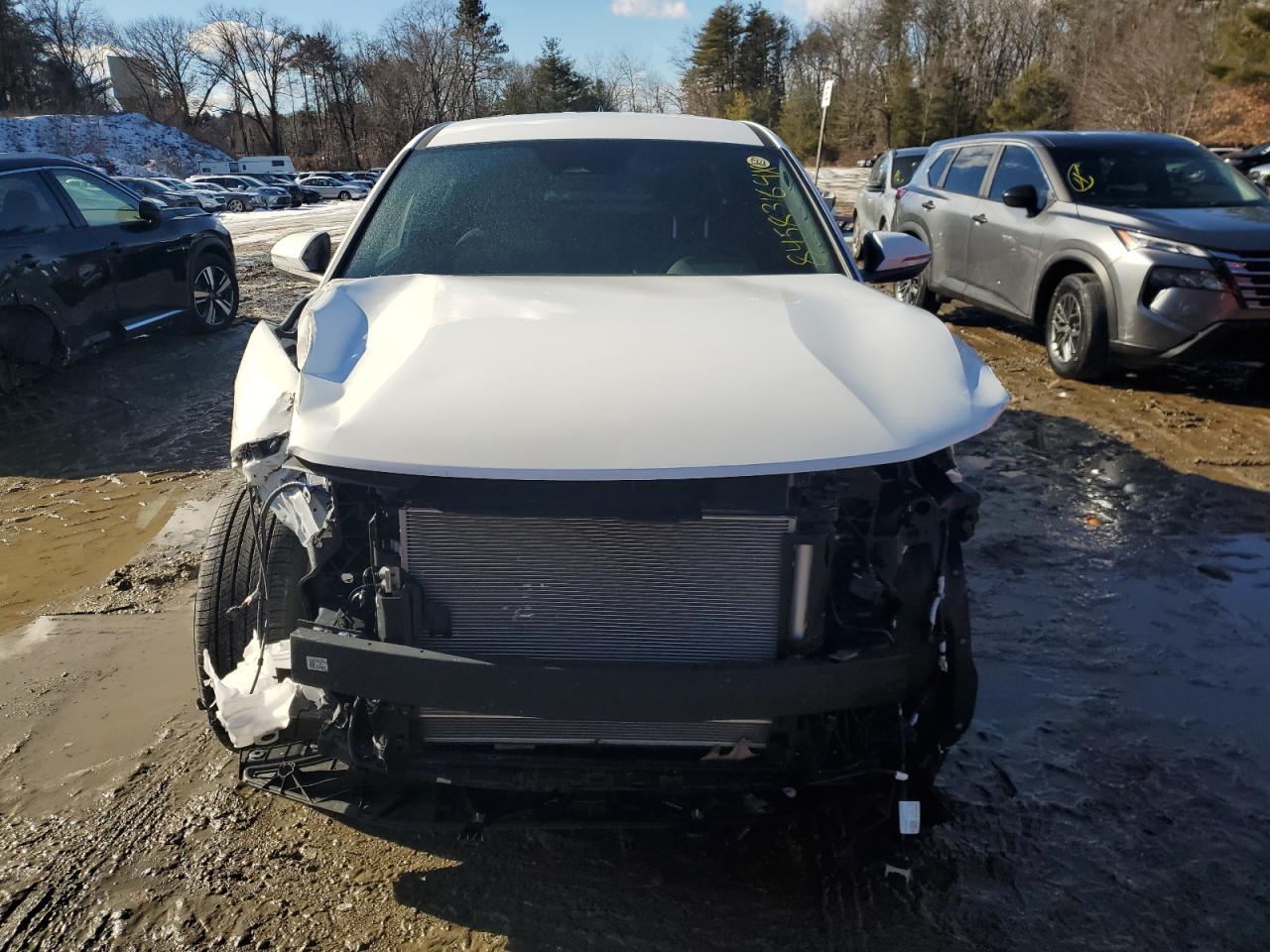 2024 HYUNDAI SANTA CRUZ SEL VIN:5NTJBDDEXRH116593