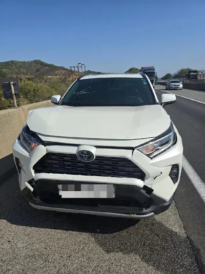 2019 Toyota RAV4 VIN: