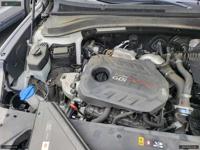 2019 Hyundai Santa FE KMHS381ABKU141821 VIN:KMHS381ABKU141821