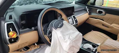 2022 Kia Sorento KNARH81GBNA067649 VIN:KNARH81GBNA067649