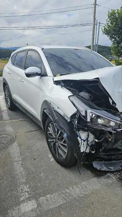 2019 Hyundai Tucson KMHJ581ADKU058096 VIN:KMHJ581ADKU058096
