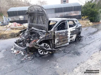 2017 Hyundai Santa FE KMHSW81UBJU806107 VIN:KMHSW81UBJU806107