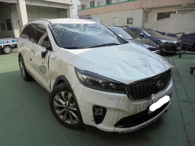 2019 Kia Sorento KNAPH81BBKA501737 VIN:KNAPH81BBKA501737