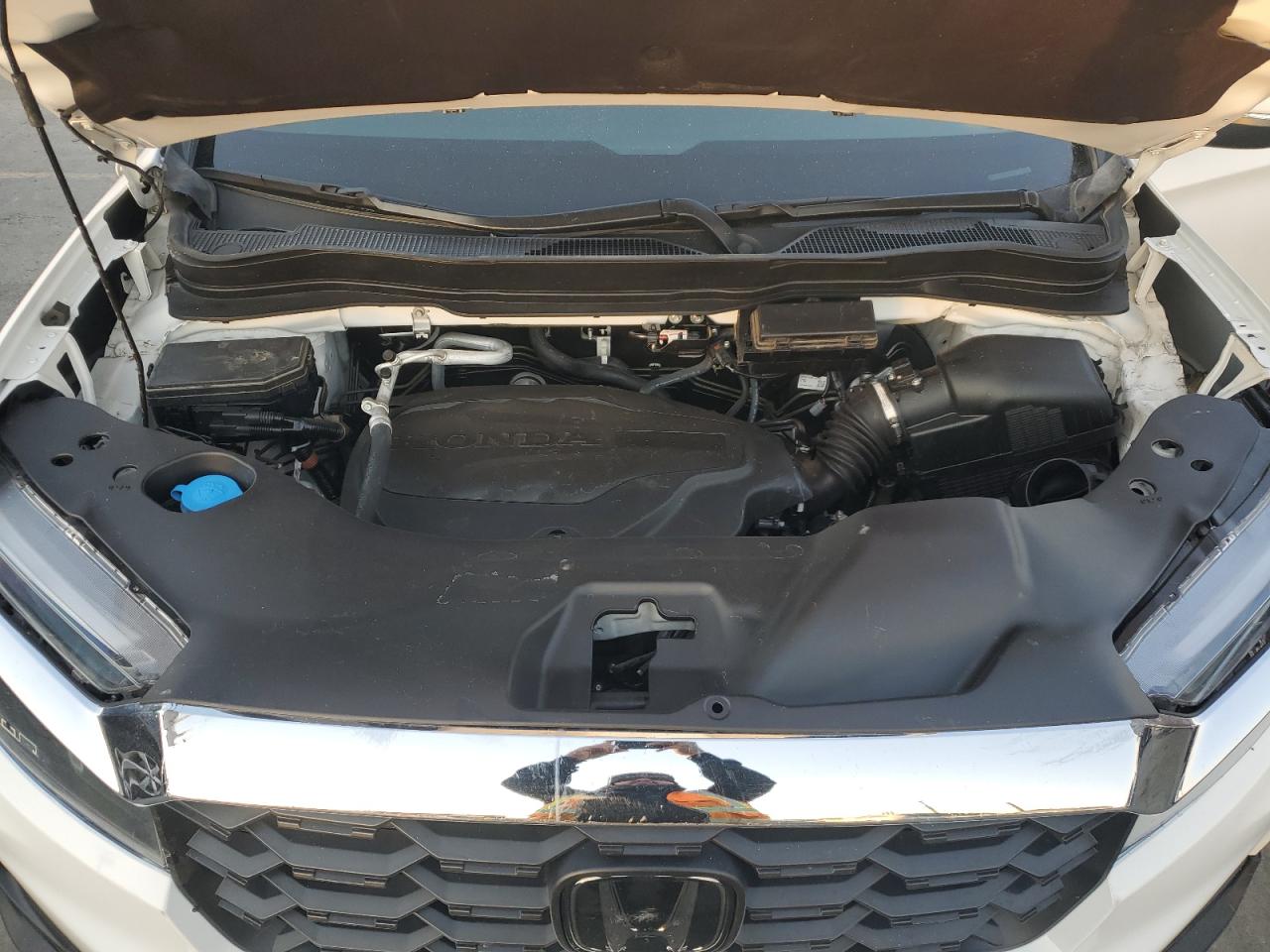 2024 HONDA PASSPORT EXL VIN:5FNYF8H50RB003754