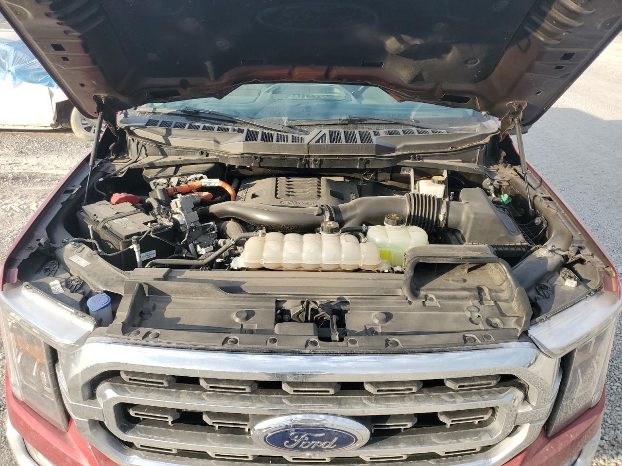 2022 FORD F150 SUPERCREW VIN:1FTFW1ED8NFA41331