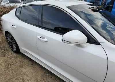 2019 Kia Stinger KNAE651BDKS045522 VIN:KNAE651BDKS045522